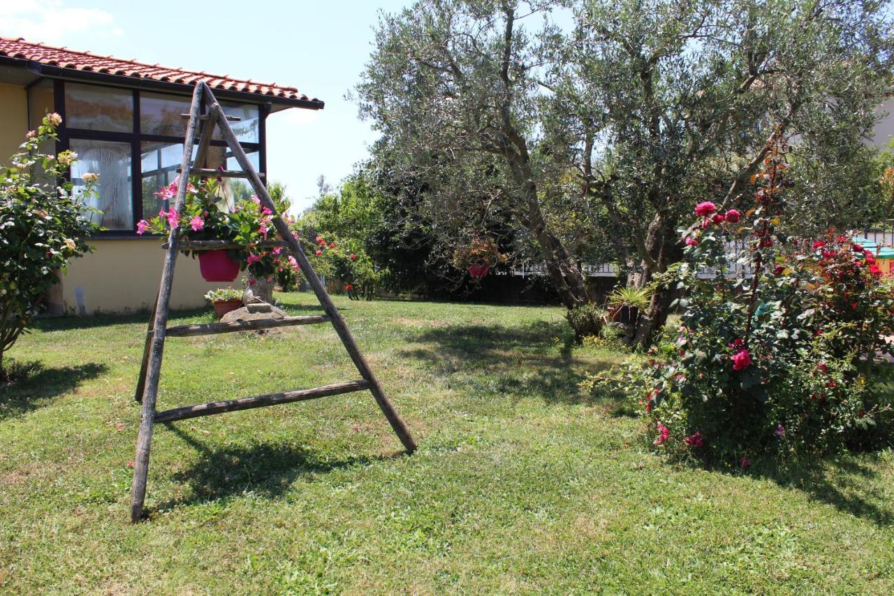 B&B L'Amicizia Montefiascone Exterior foto